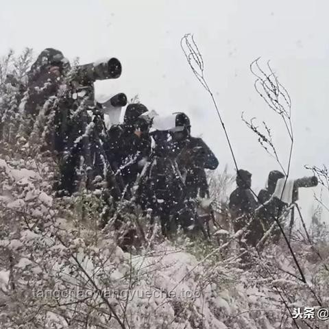 🏆【天鹅湖校区•荣耀绽放】冠军之路：以创新思维铸就全国锦标赛巅峰